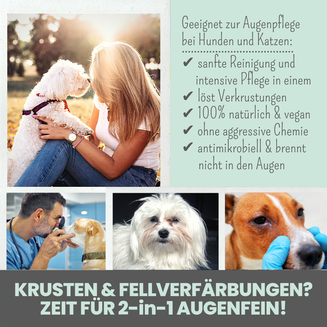 Noms+ Augenfein Info