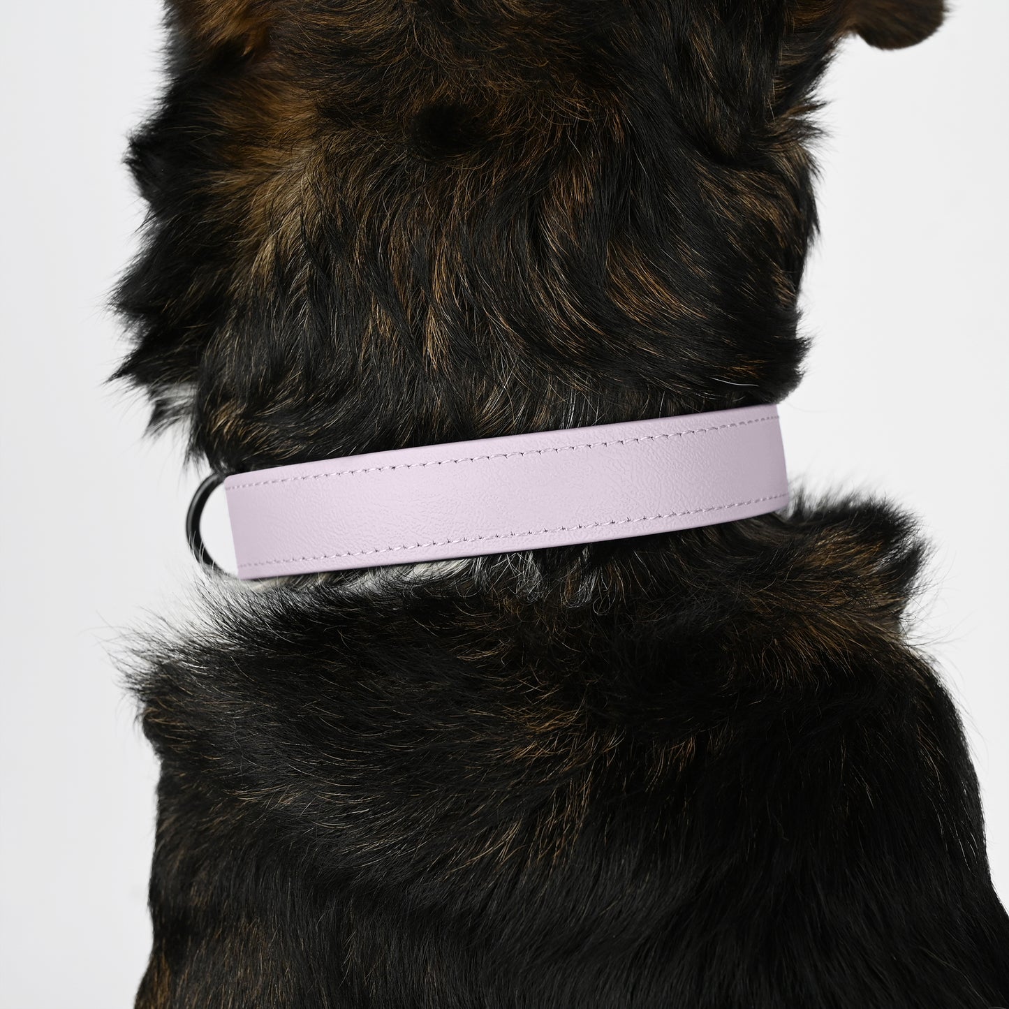 Biothane Hundehalsband lavendel Detail Hund