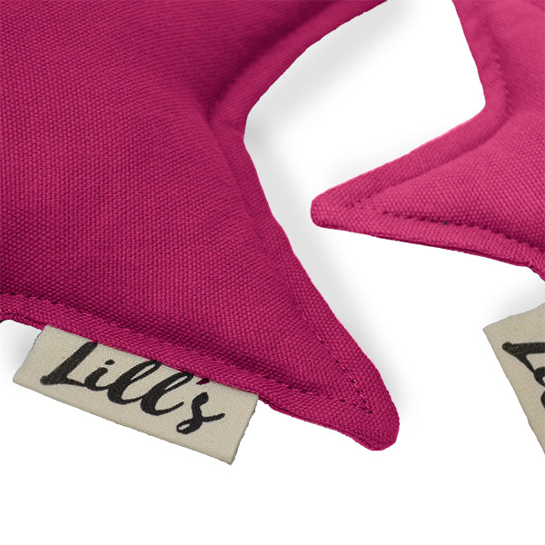 Hundespielzeug Stern | Beetroot