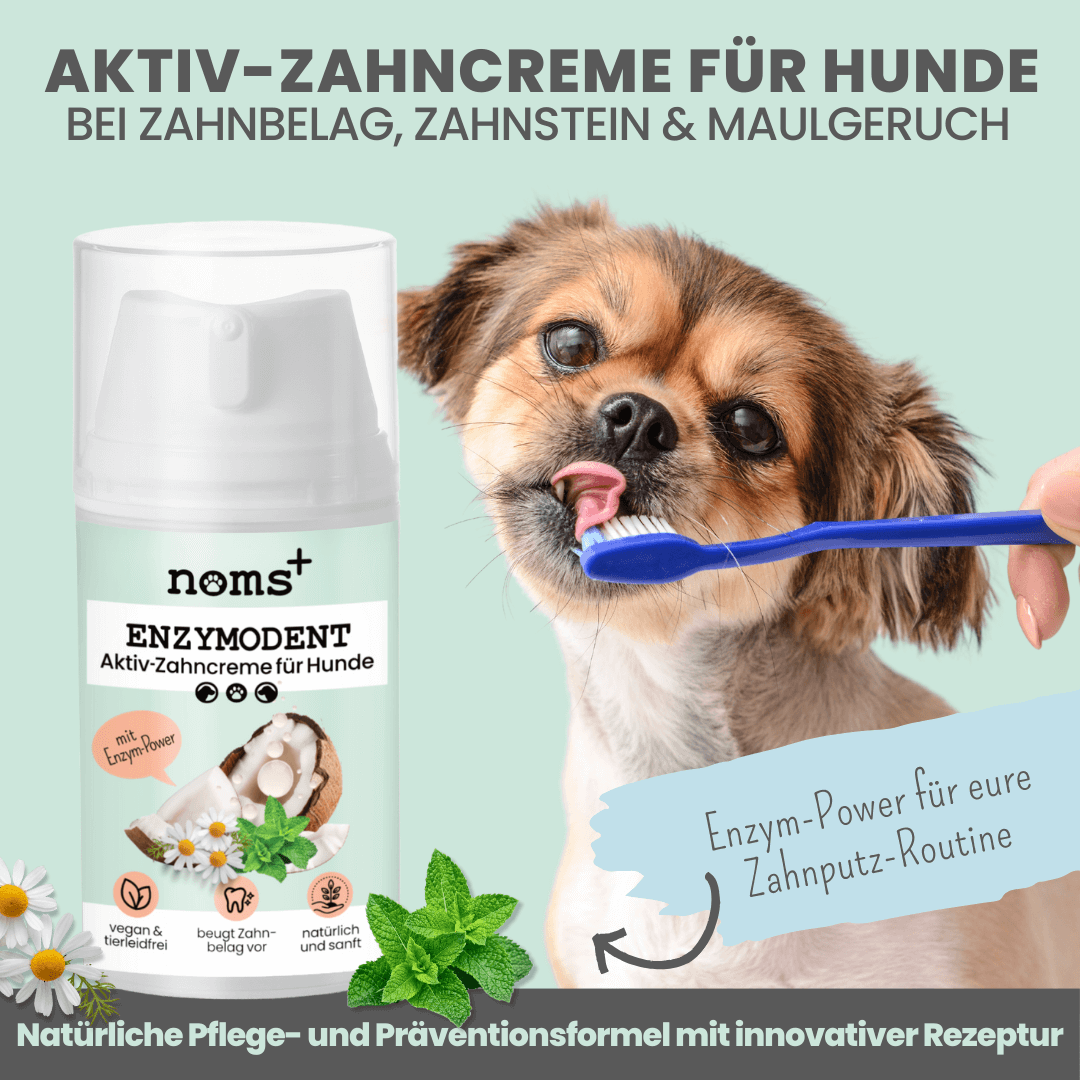 Aktiv Zahncreme für Hunde Beschreibung