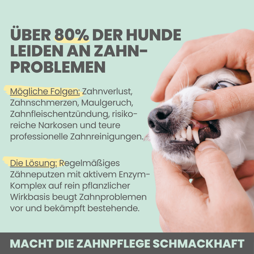 Aktiv Zahncreme für Hunde Zahnprobleme