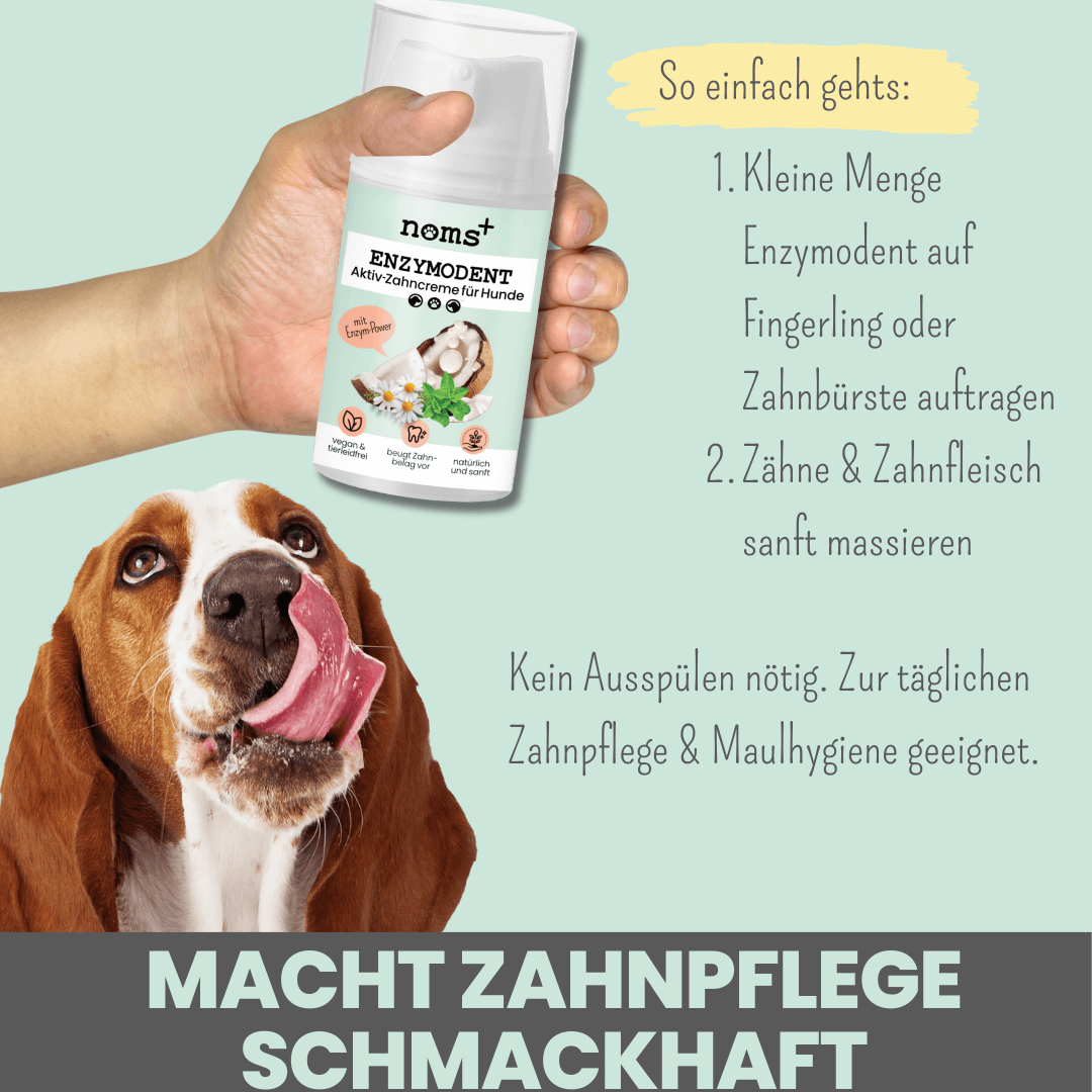 Aktiv Zahncreme für Hunde Anwendung
