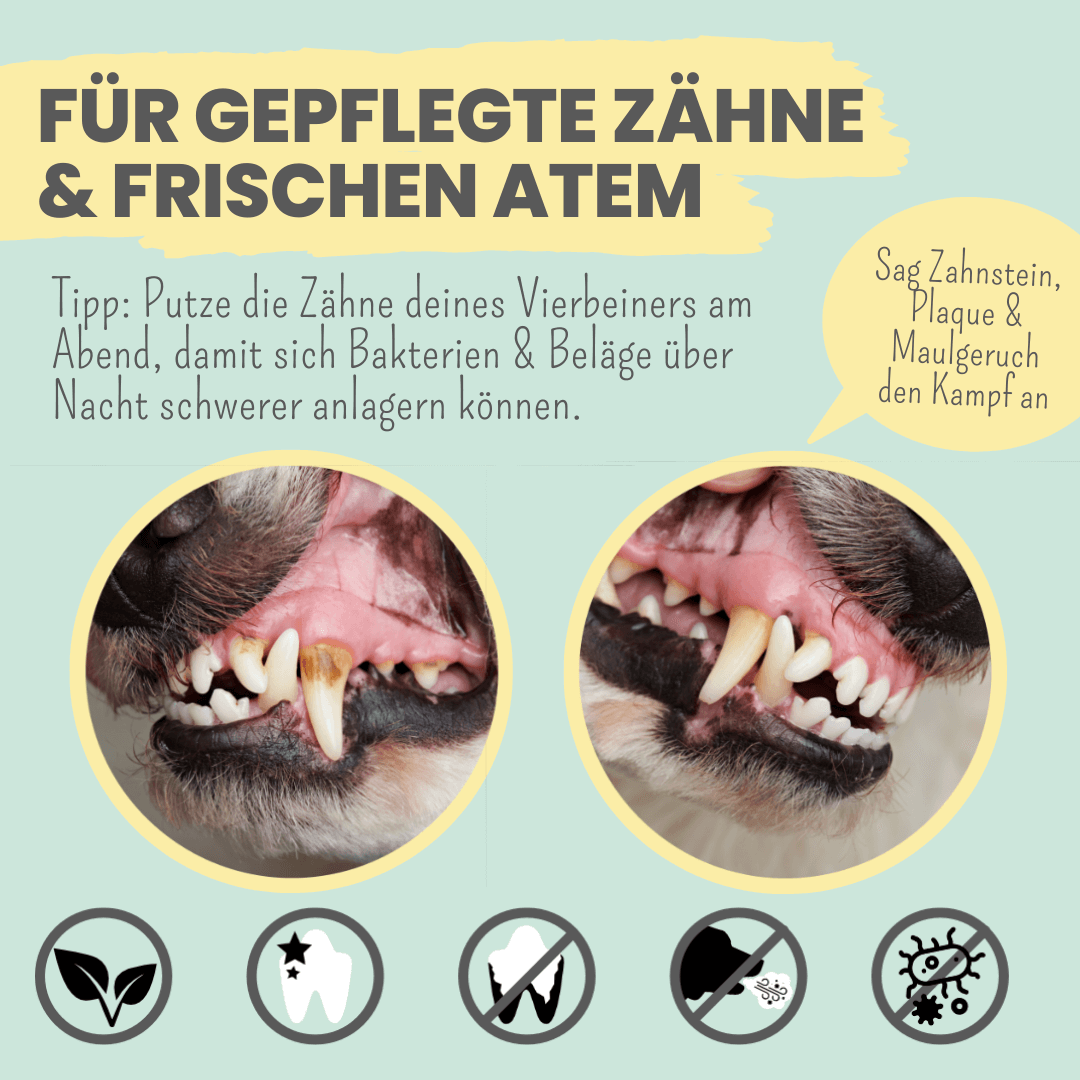 Aktiv Zahncreme für Hunde Beschreibung