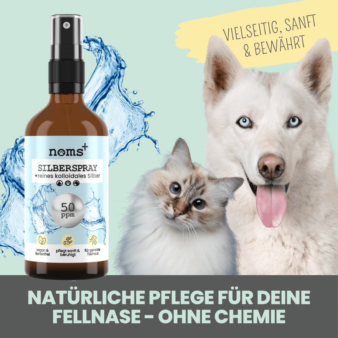 Silberspray für Hunde | mit 50 ppm
