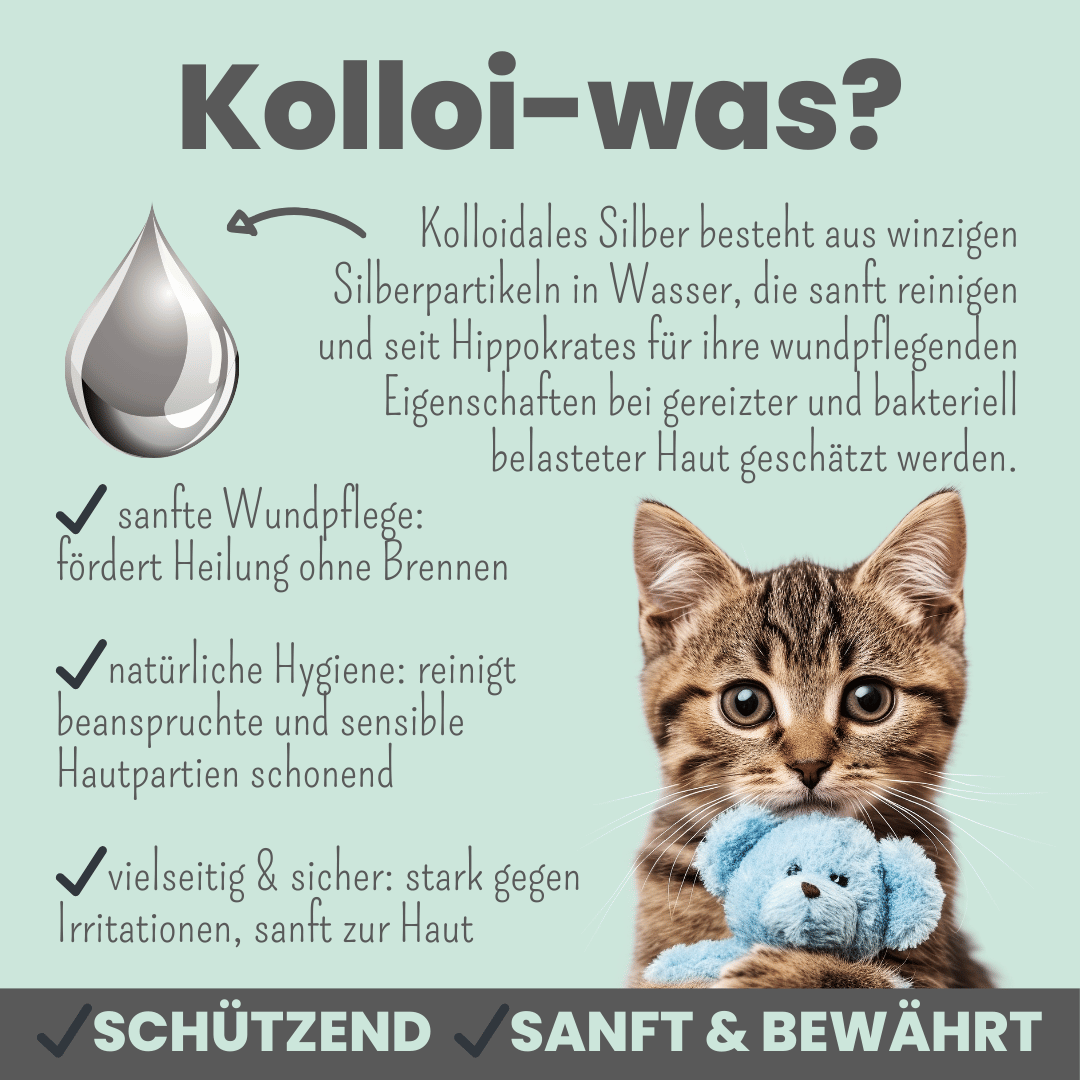 Silberspray für Hunde | mit 50 ppm