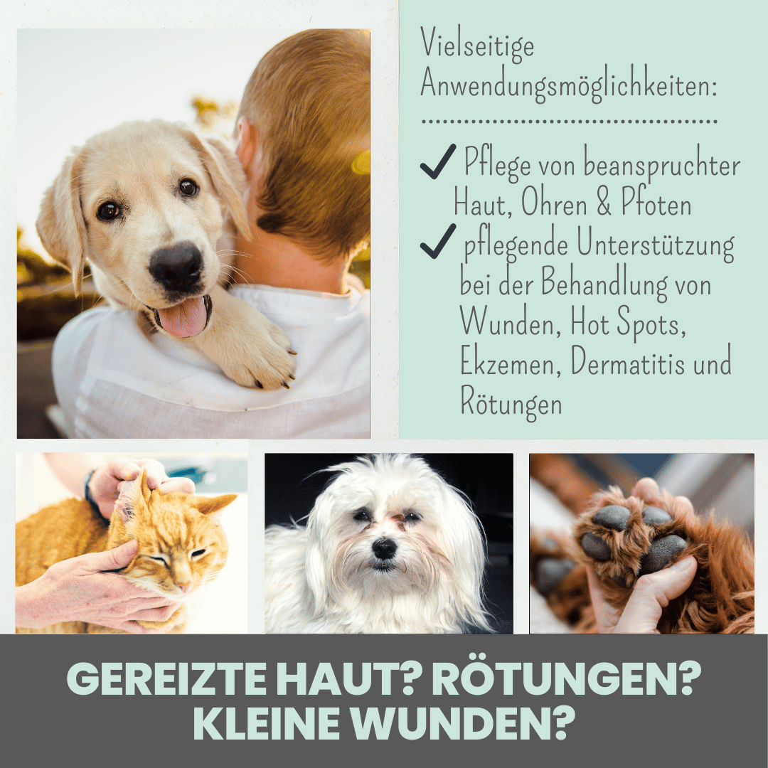 Silberspray für Hunde | mit 50 ppm