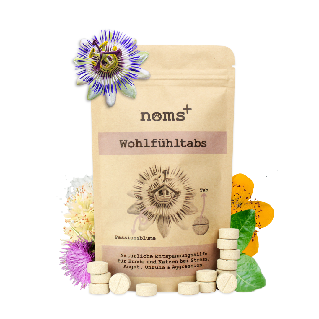 noms+ Wohlfühltabs Packung mit Kräuter