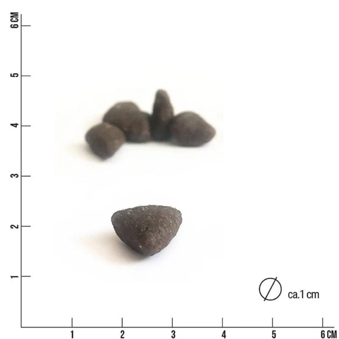 Tales Tails Pferd Trockenfutter Kibbles