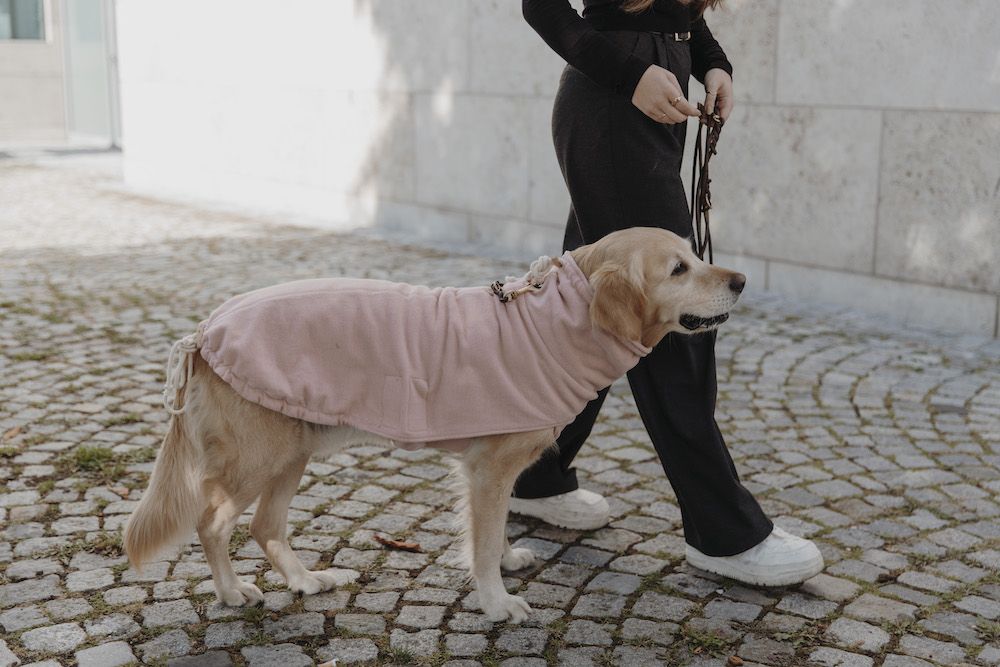 Hundepullover Pink Berry mit Hund
