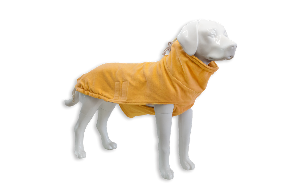 Hundepullover mit Hund