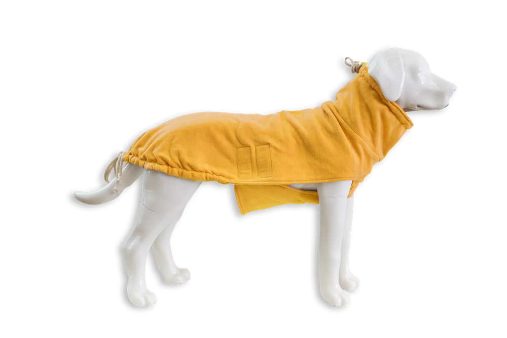 Hundepullover mit Hund Seitenansicht