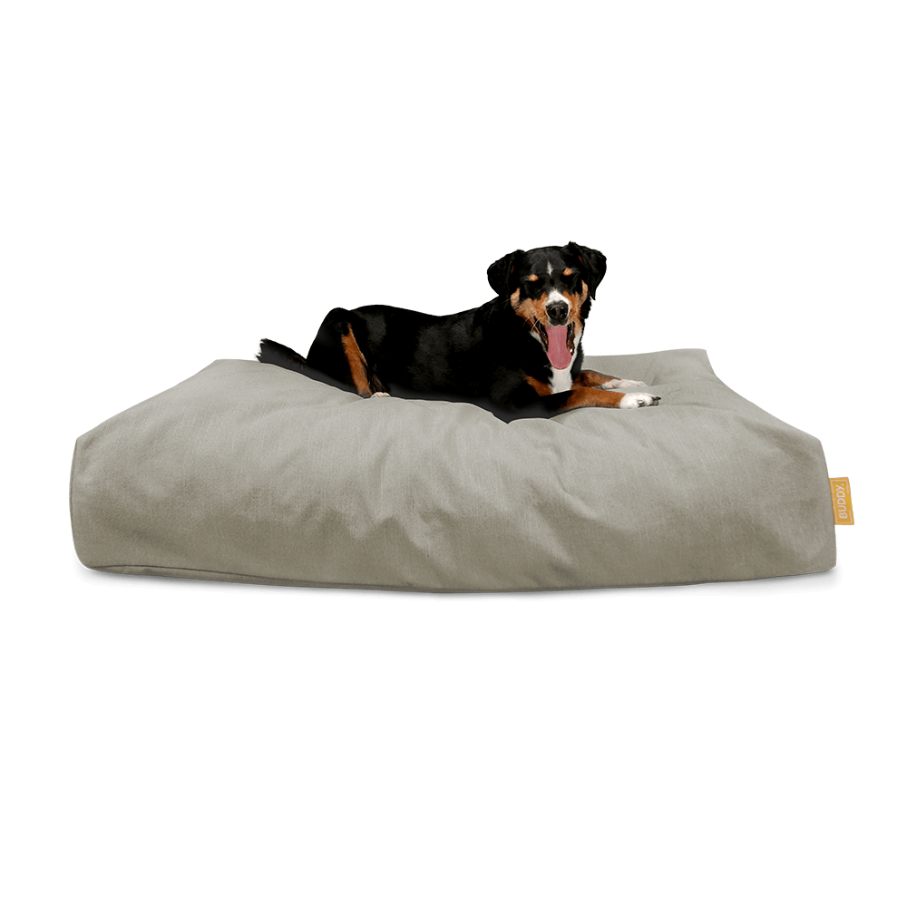 BUDDY Hundebett beige mit Hund