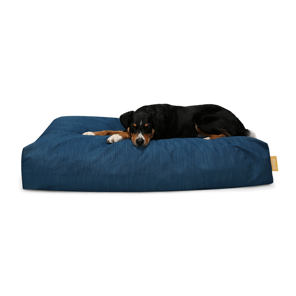 BUDDY Hundebett blau mit Hund