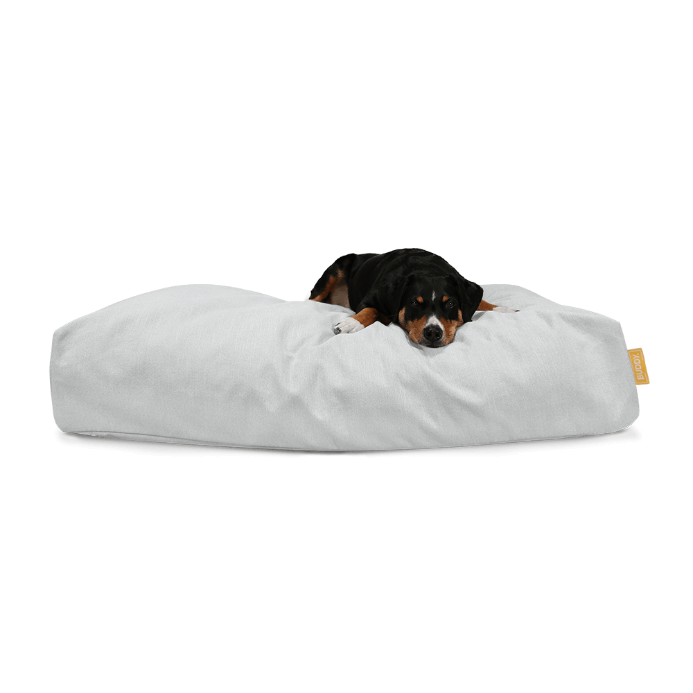 BUDDY Hundebett hellgrau mit Hund