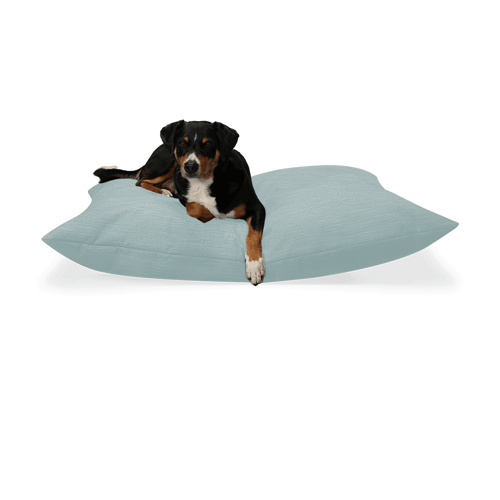 BUDDY Hundekissen mint mit Hund