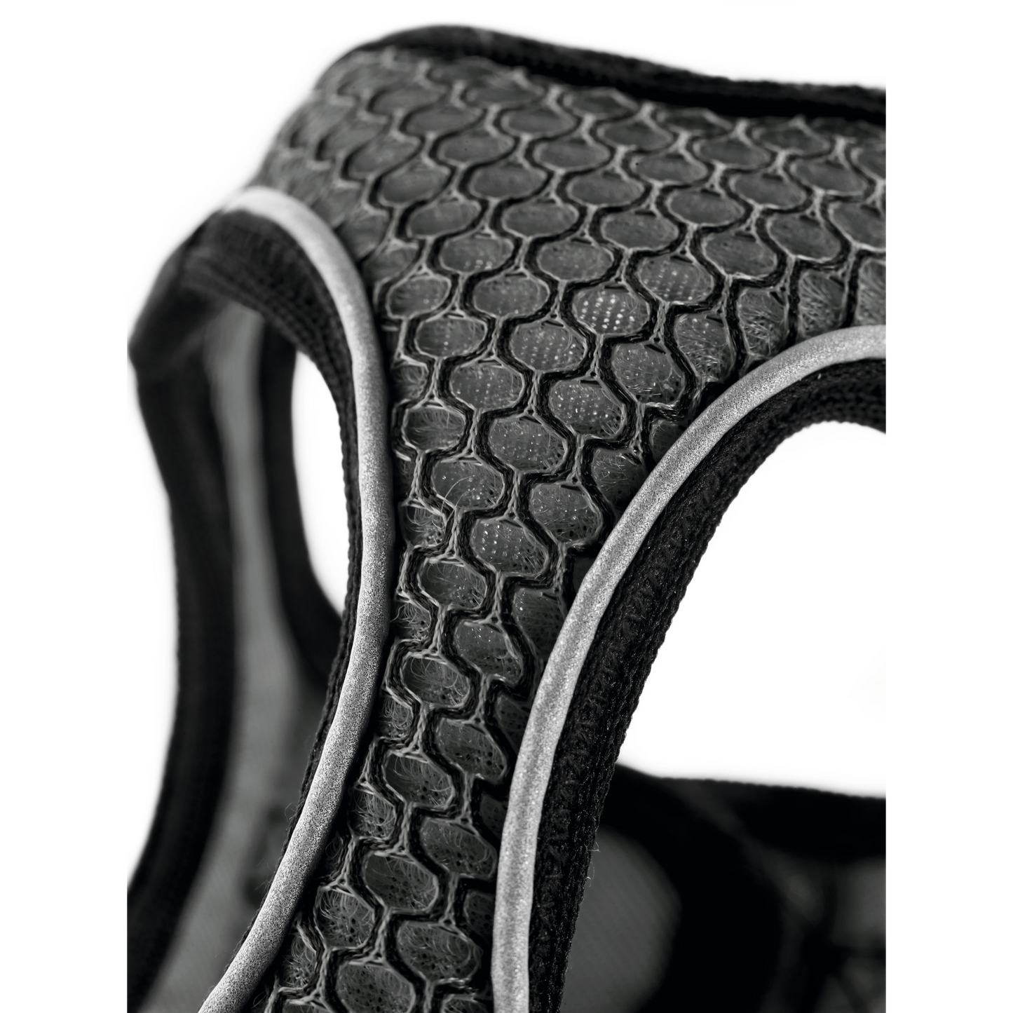 Hundegeschirr "Hilo Comfort" | anthrazit