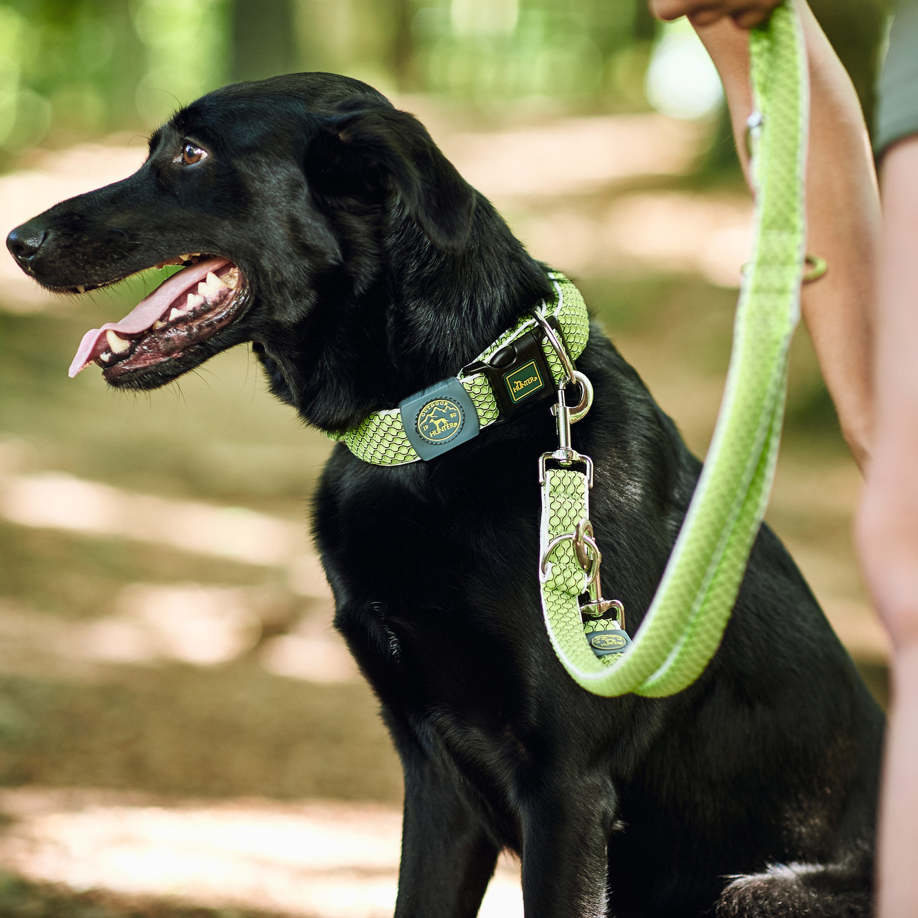 Führleine "Hilo" | limette