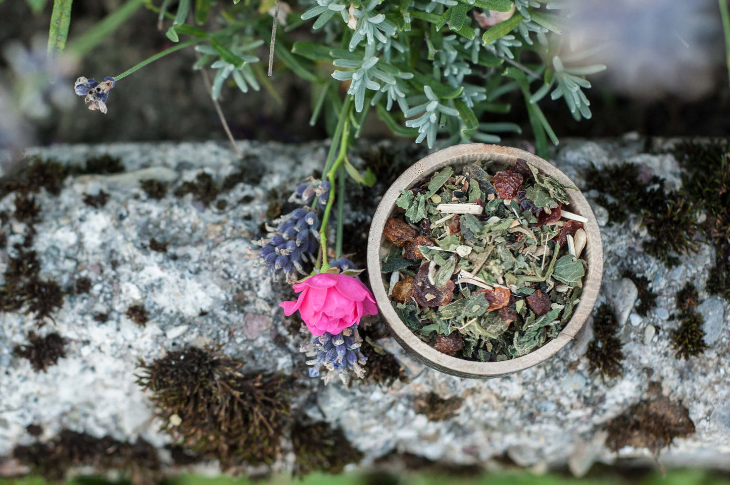 Nahrungsergänzung für Hunde Kräutermischung Hercules & Xena Kräuter