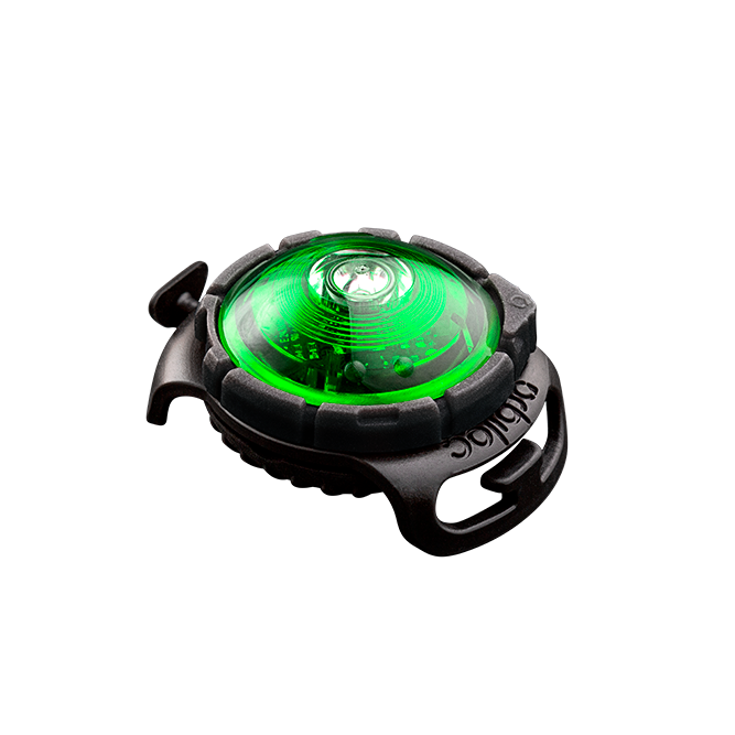 Orbiloc Dog Dual Green