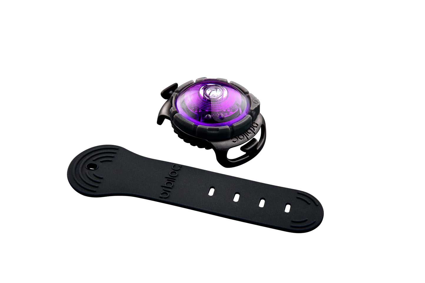 Orbiloc Dog Dual Purple mit Band