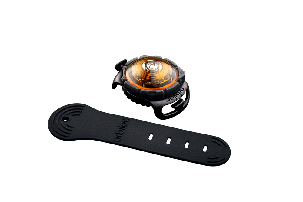 Orbiloc Sicherheitslicht Dog dual gelb mit Band
