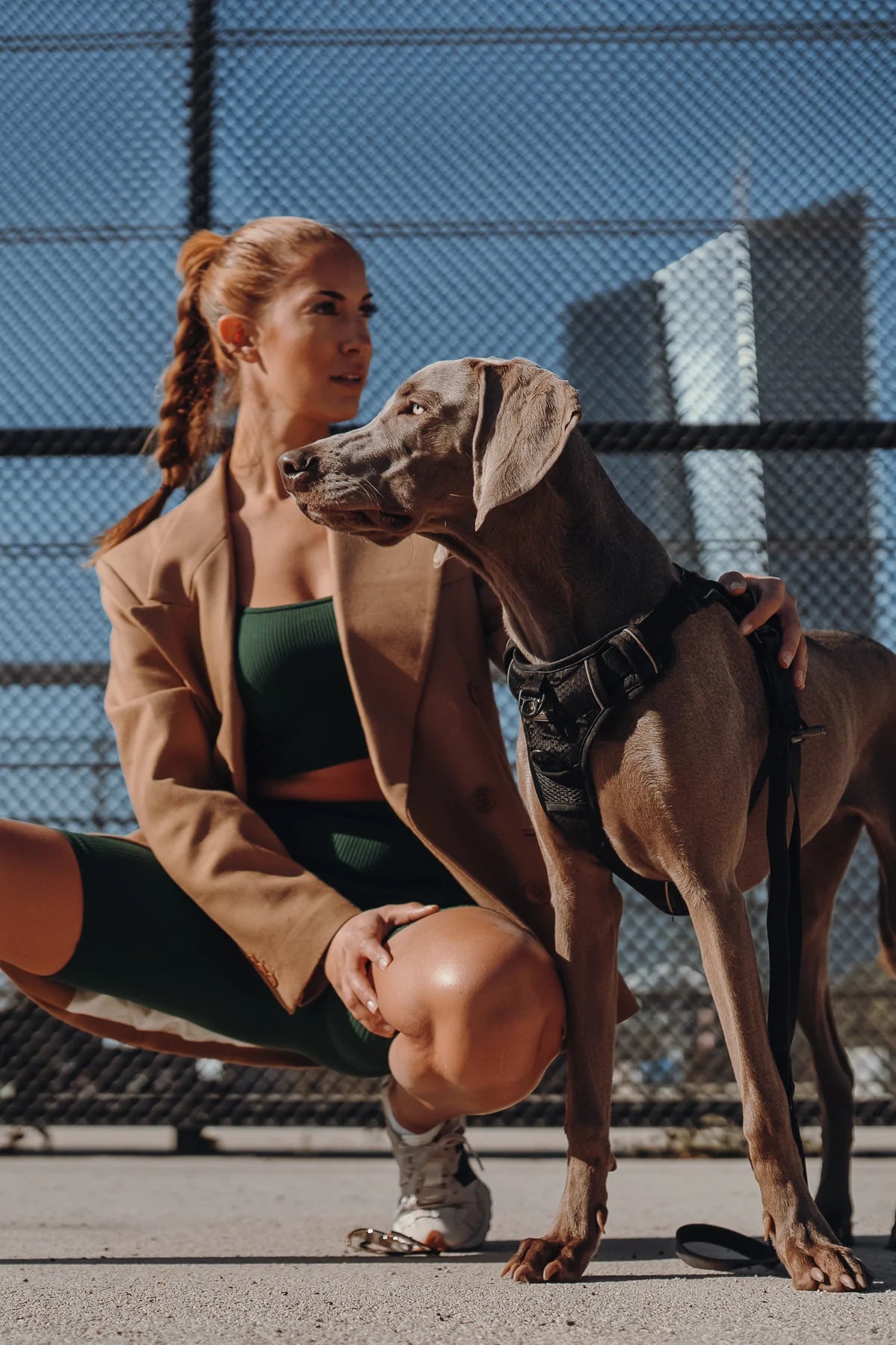 Thomas & Henry Essential Geschirr schwarz Hund mit Frau
