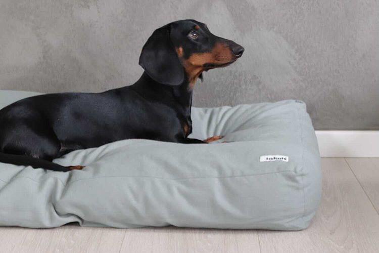 Hundebett tadazhi Tobine grün mit Hund