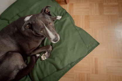 Hundedecke "Coco" | Olive