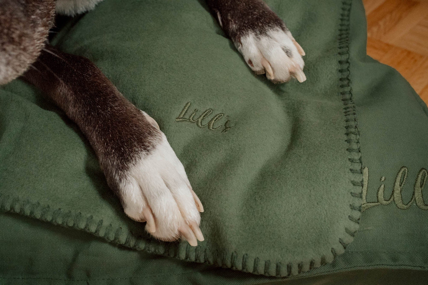Hundedecke "Coco" | Olive