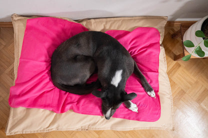 Hundedecke "Coco" | Beetroot