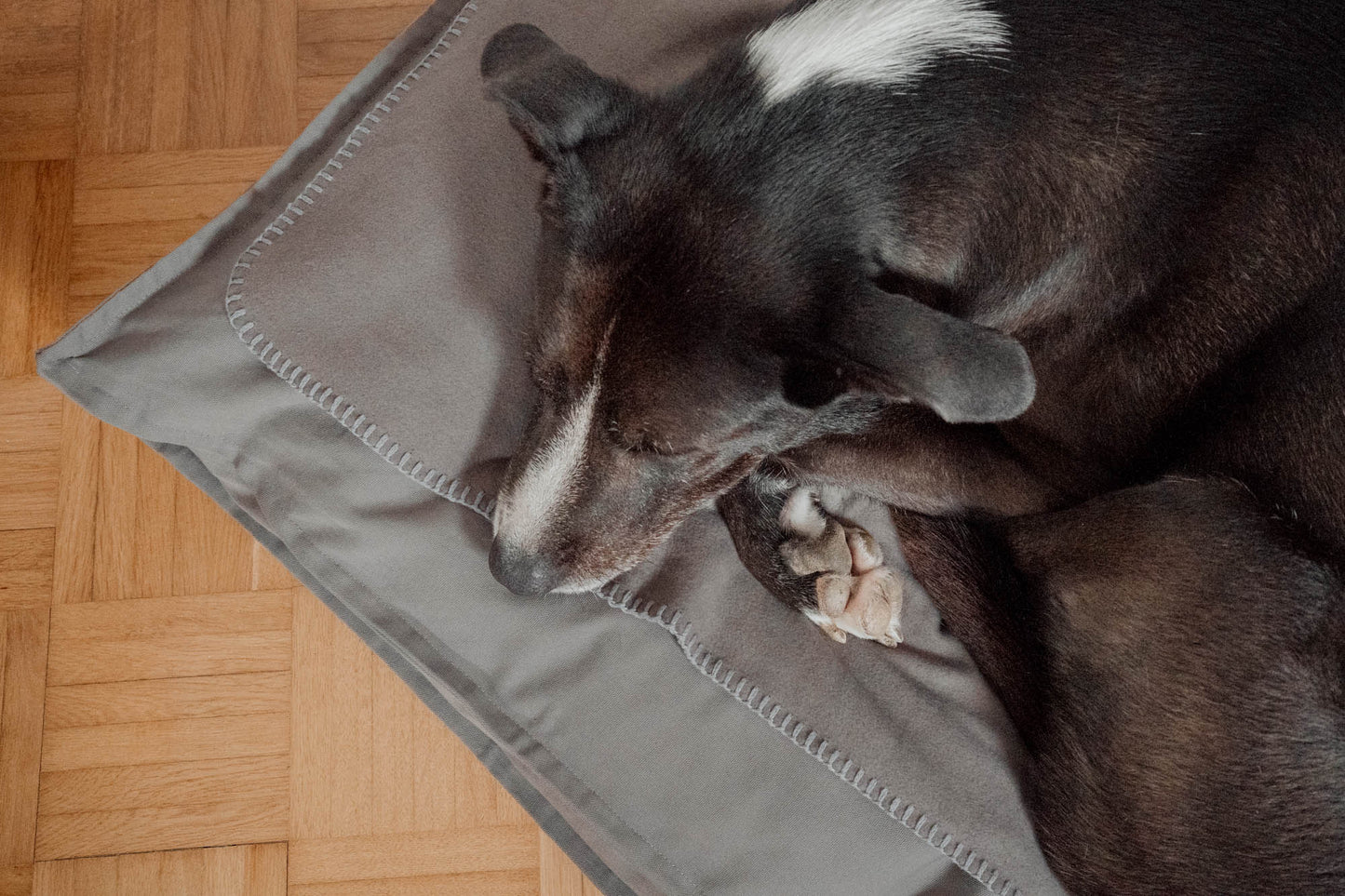 Hundedecke "Coco" | Stone Grey