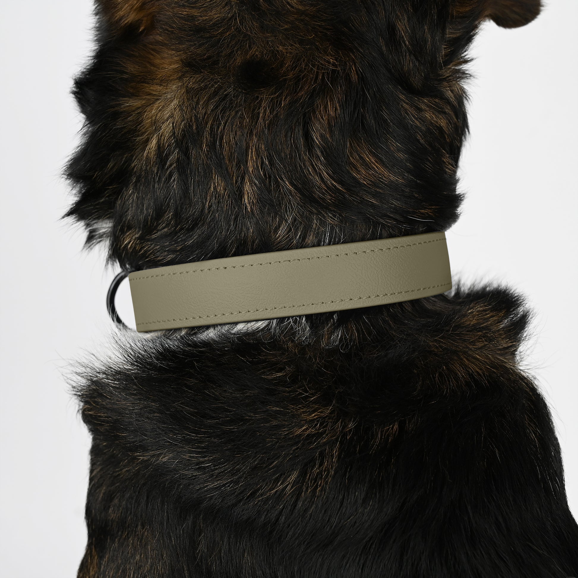 Biothane Halsband beige Detail Hund