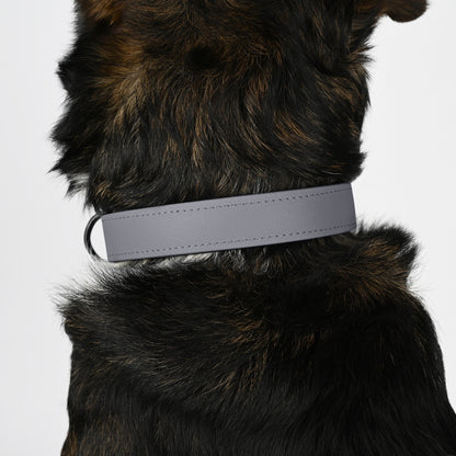 Biothane Hundehalsband grau gepolstert Details Hund