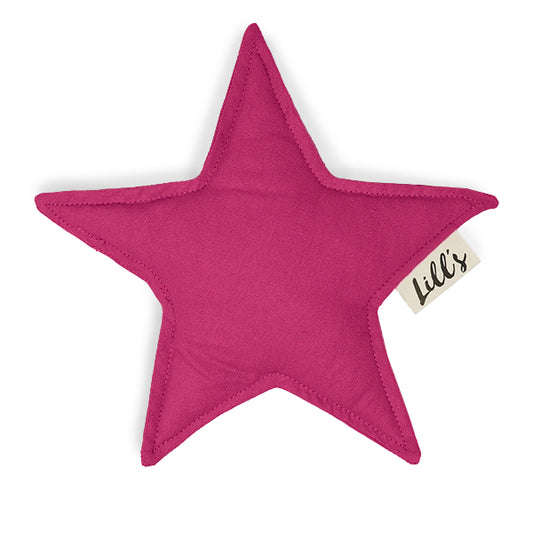 Hundespielzeug Stern | Beetroot