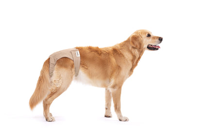 Läufigkeitshöschen "Lou" | Sand