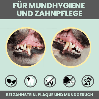 nomsplus Dental-Spray