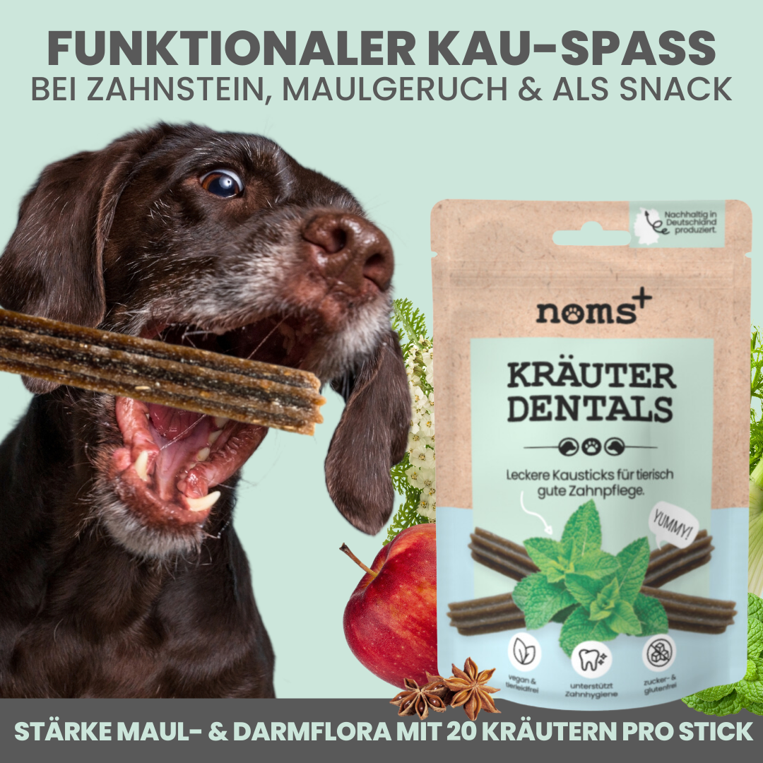 Kräuter Dental Sticks