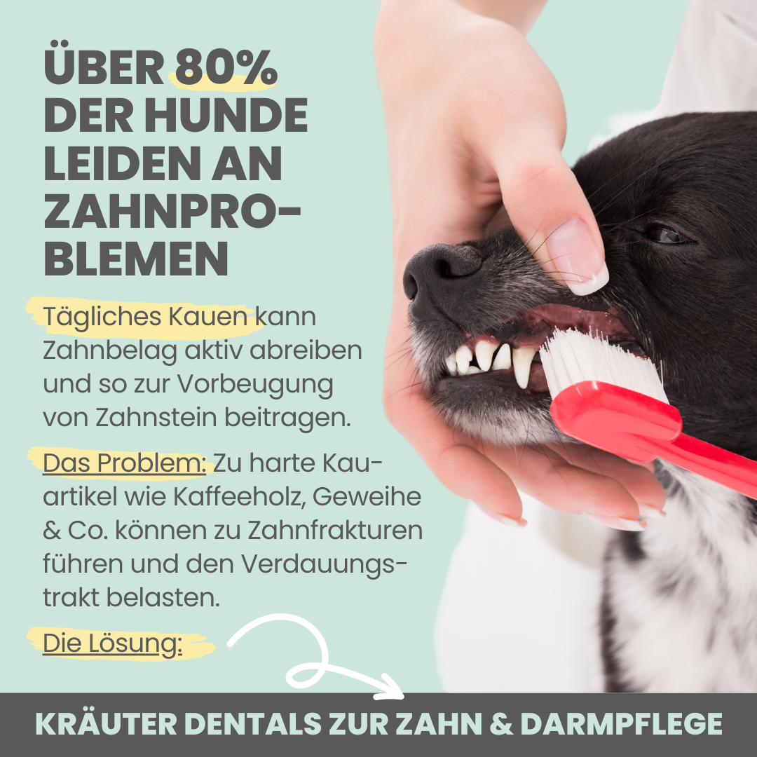 Kräuter Dental Sticks