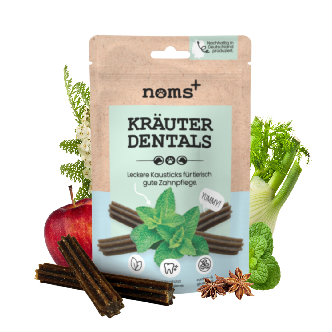 Kräuter Dental Sticks