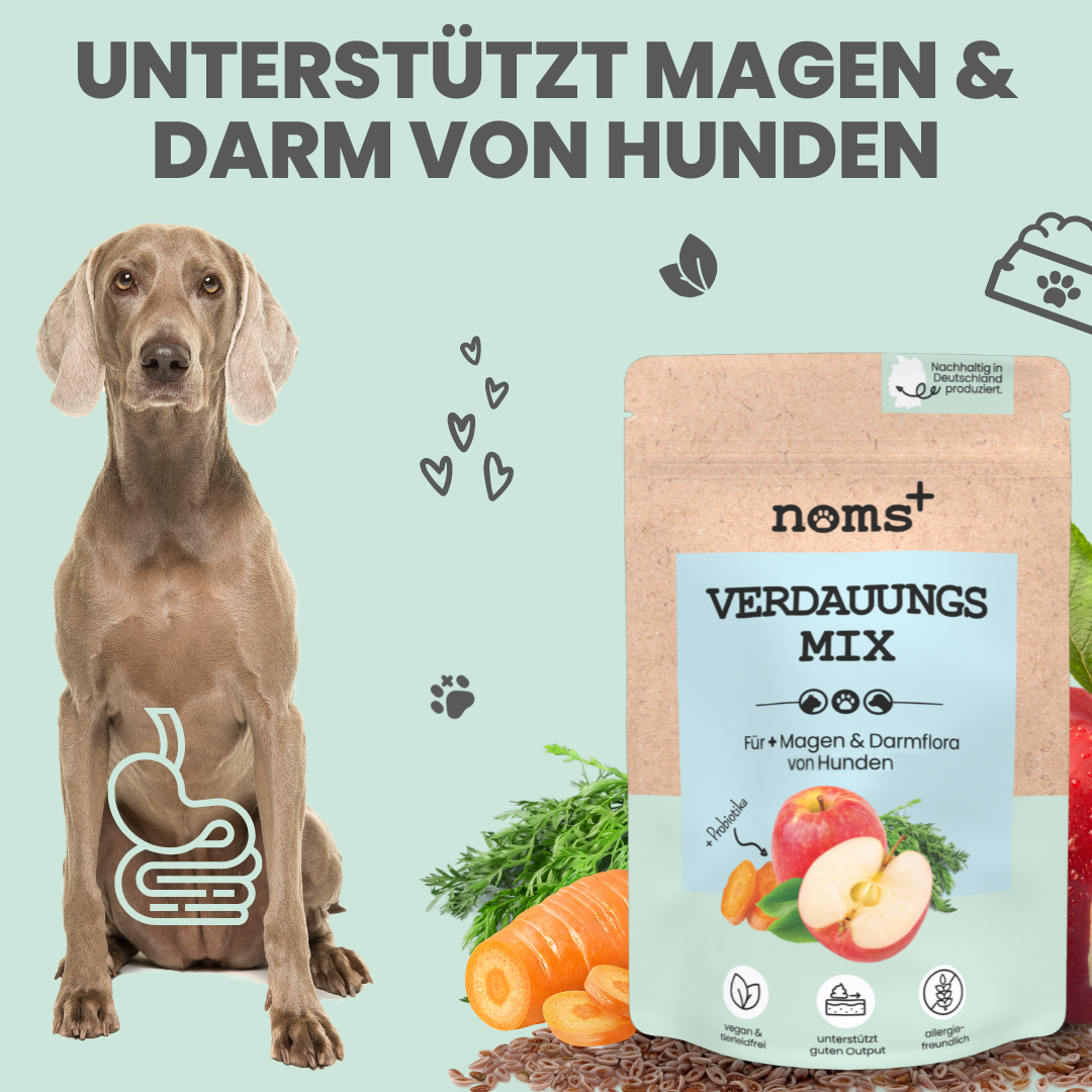 Verdauungsmix für Hunde