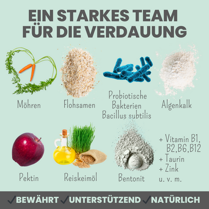 Verdauungsmix für Hunde