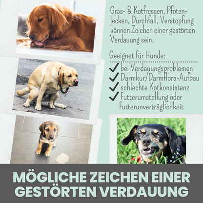 Verdauungsmix für Hunde