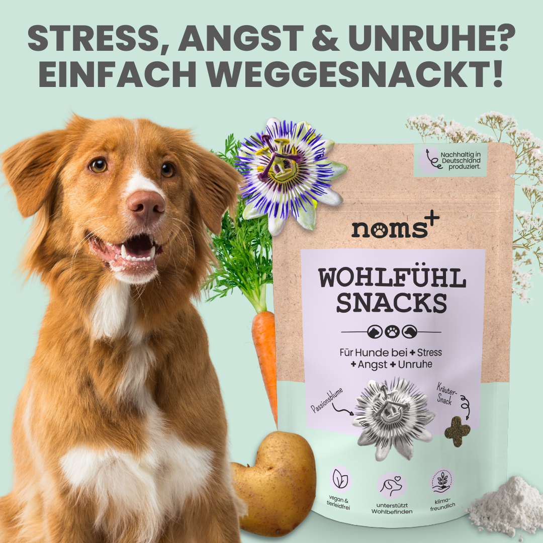 Softer Wohlfühlsnack für Hunde