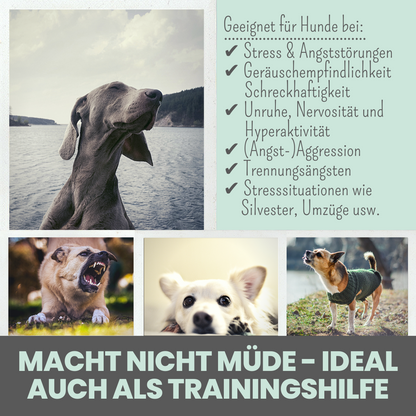 Softer Wohlfühlsnack für Hunde
