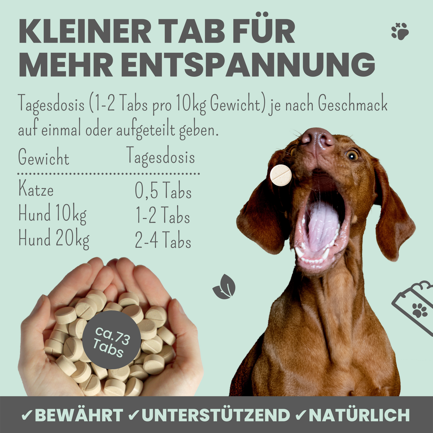 noms+ Wohlfühltabs