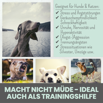 noms+ Wohlfühltabs