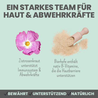 noms+ Zistrosenleckerli