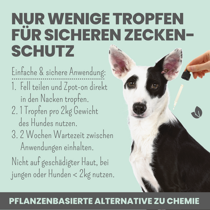 noms+ Zpot-on Anwendung