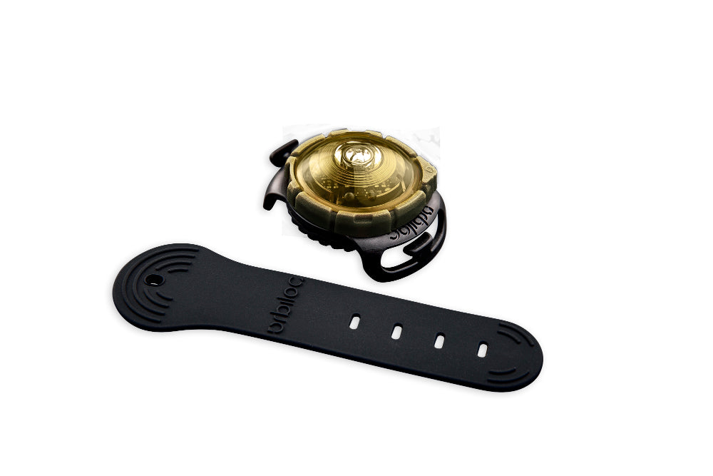Sicherheitslicht Dog Dual | Gold
