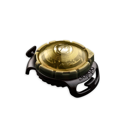 Sicherheitslicht Dog Dual | Gold
